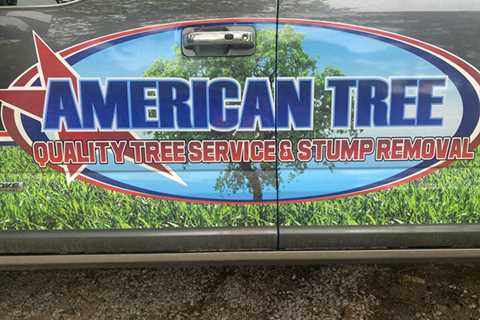 American Tree & Landscaping of Woodbridge VA Added To TreeCareHQ Directory