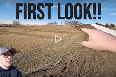 First LAWN UPDATE of 2022!! // Early Spring Lawn Care