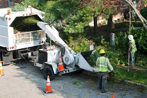 Genesis Tree Service Ashburn