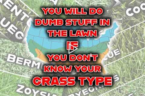 Stop! Identify your GRASS TYPE with these 3 SIMPLE steps! Your lawn care journey must begin here!