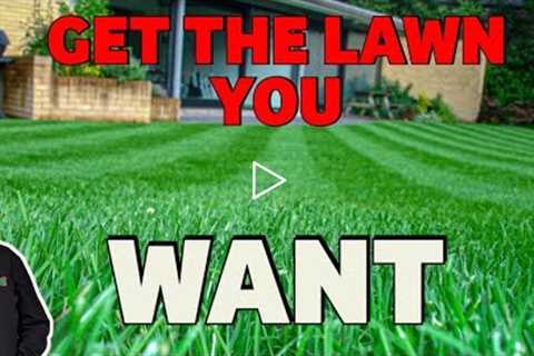 Level up your lawn this year like a pro