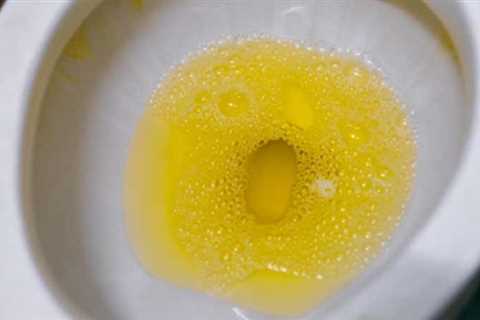 My Toilet Always Smells Like Urine - What Can I do? - SmartLiving