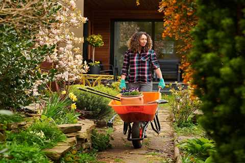9 Things Master Gardeners Wouldn’t Do in Their Gardens