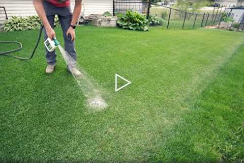 How To Fix DRY SPOTS In The Lawn