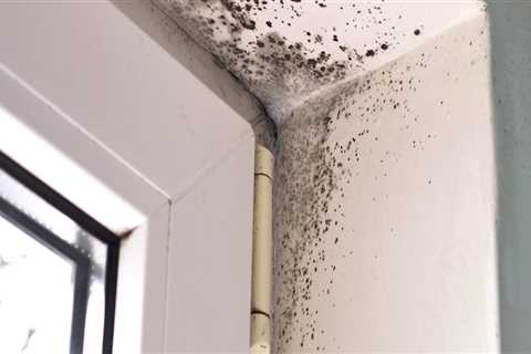 What happens during mold testing?