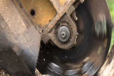 What to expect from stump grinding?