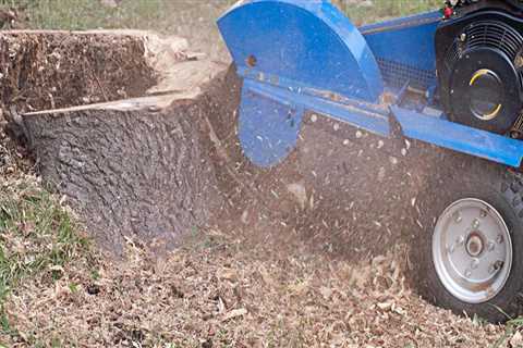 What does tree stump grinding cost?