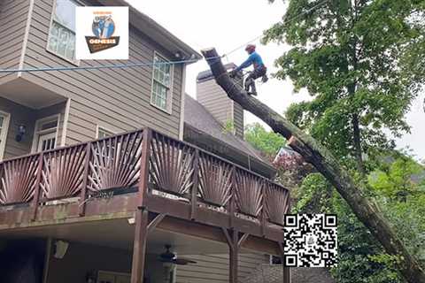 Genesis Tree Service Ashburn