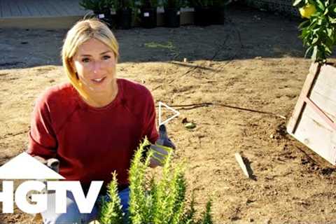 Front Yard Design Tips From Jasmine Roth | Hidden Potential | HGTV