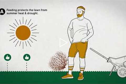 Summer Lawn Care Tips the Scotts Way