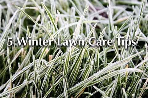 5 Winter Lawn Care Tips