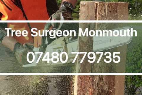 Tree Surgeon Abersychan