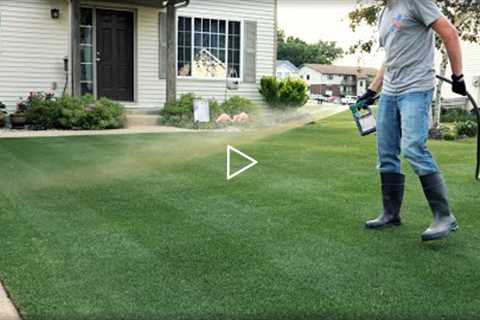 Can You FERTILIZE Your Lawn In SUMMER??