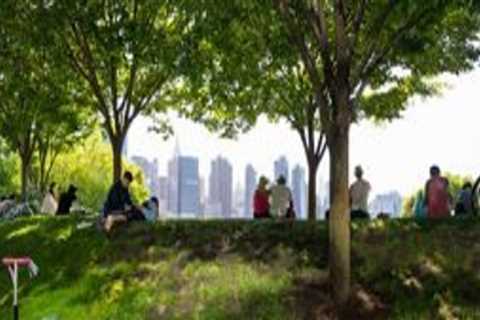 What are 2 benefits of trees in urban areas?