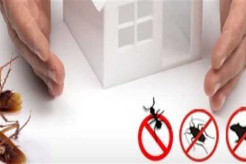 Why home pest control?