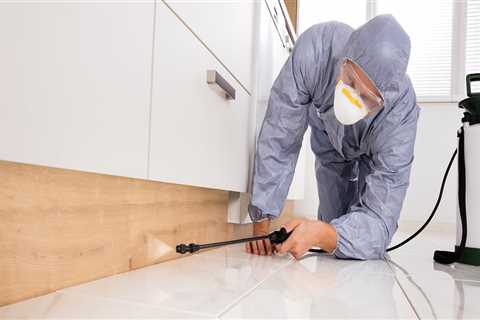 What type of spray does pest control use?