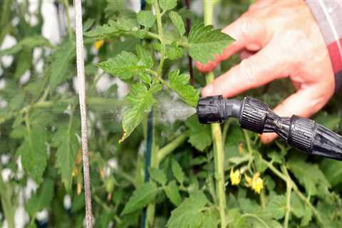 What is the best organic pest control for vegetable garden?