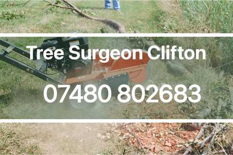 Tree Surgeon Bedminster