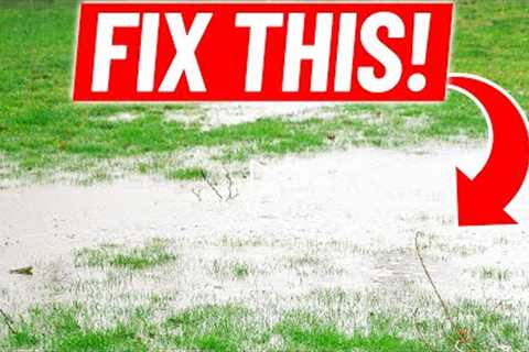 How to Fix Standing Water in the Lawn - Low Spot Drainage with Catch Basin