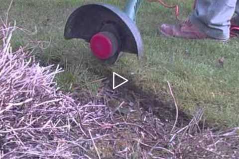 How to Use a String Trimmer Properly - Edging flower bed