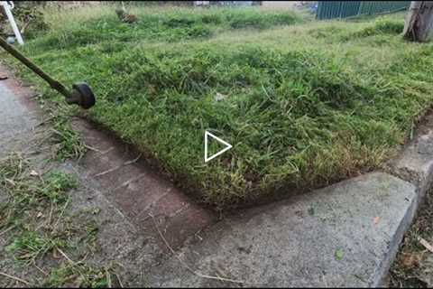 She asked for help. What would you do? Satisfying lawn mowing