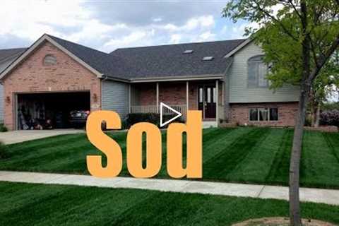 New Sod Fertilizing And Treatment Schedule | New Sod Care