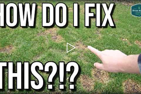 How To FIX Your Damaged LAWN in Spring + Spring Lawn Care UPDATES 2021