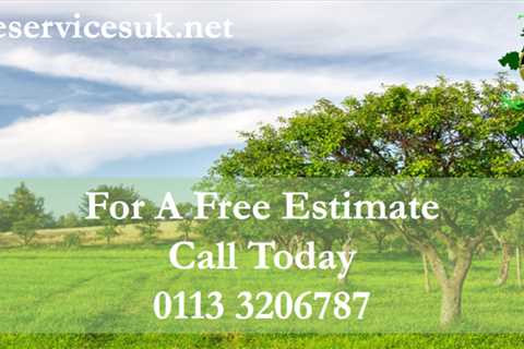 Stanley Ferry Tree Surgeons Commercial & Residential Tree Services