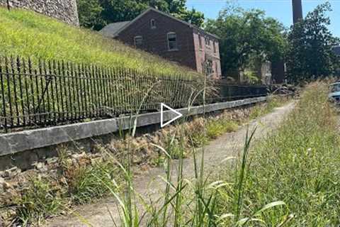 STATE OFFICIAL DENIES ACCESS. We cleaned it up for FREE 2 years of overgrown neglected sidewalk