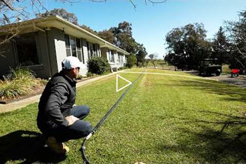 Lawn Renovation Preparation // Scalp, Fert and Weed Clean