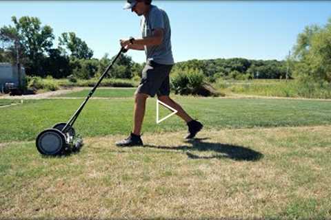 When To MOW/OVERSEED Newly Seeded Lawn
