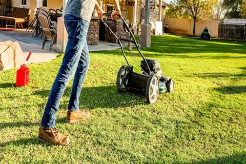 Who is responsible for yard maintenance?