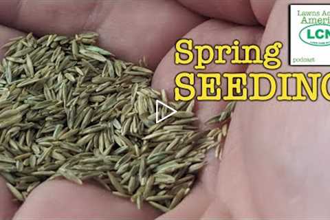 Every Reason NOT to SEED Your Lawn In Spring