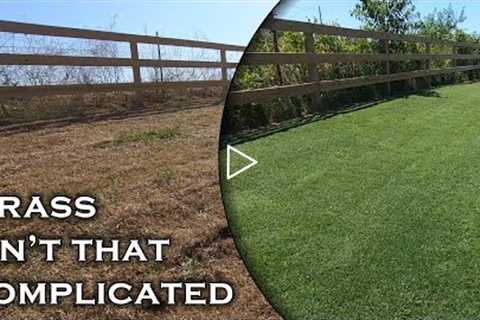 Keep it simple & fun, and you can fix an ugly lawn in no time!