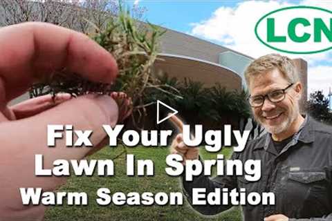 Fix Your Ugly Lawn In Spring 2021 - Warm Season Edition