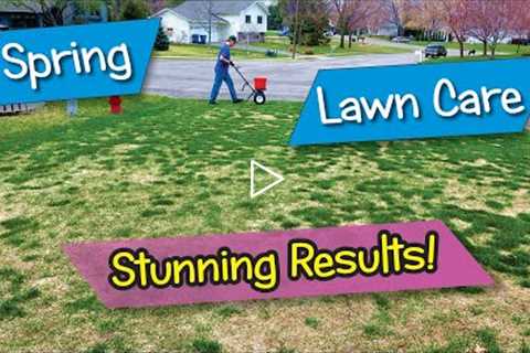 Spring Lawn Care Stunning Results