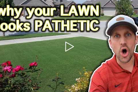 Beginner Lawn Care Tips // How To Improve Your Lawn in 3 Easy Steps // Motivation for a Nice Lawn