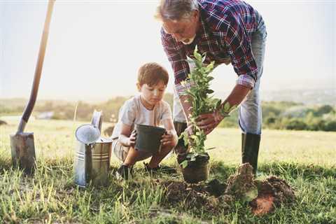 Aftercare for Newly Planted Trees