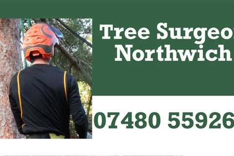 Tree Surgeon Arley