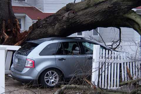 24 Hour Emergency Tree Surgeon Glasgow