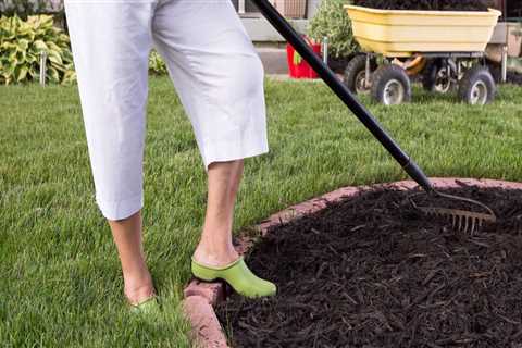 What month should you mulch?