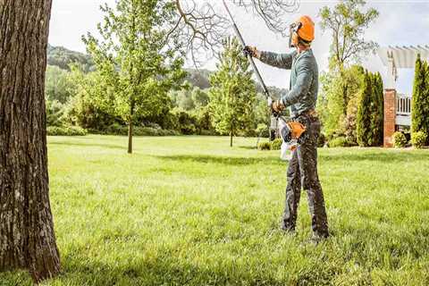 How tree service?