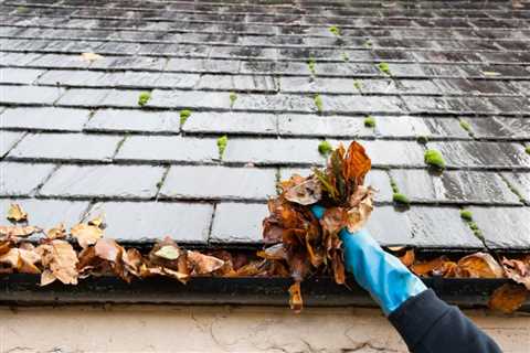 Gutter Cleaning Tools For Easier Gutter Cleaning - Motoclub Les Voleurs De Poules