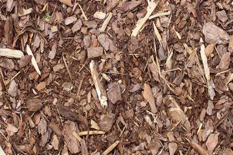 What is the best mulch to use to avoid termites?