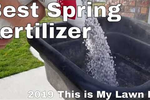 Ginja''''s spring lawn care fertilization.  2019 Spring lawn care step 1 This is My Lawn
