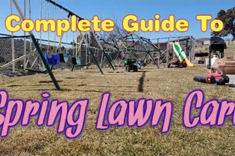 Spring Lawn Care: Fix An Ugly Lawn In One Year - Everything You Need To Know