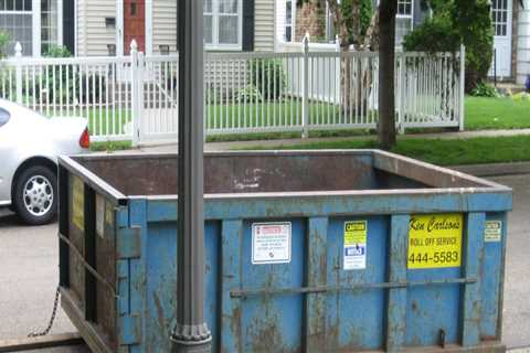 The Significance Of Renting A Dumpster When Tree Felling Your Desoto Property