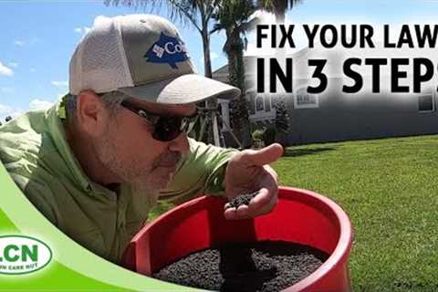 Lawn Care Tips for Beginners | Fix Your Lawn In 3 Steps from Allyn Hane, The Lawn Care Nut