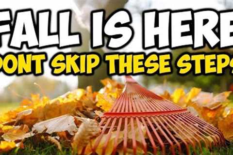 Fall Lawn Care Steps ( YOU MUST DO !!! )