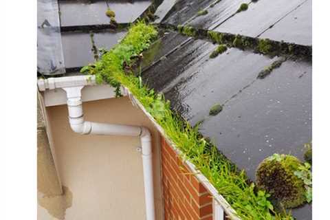 Gutter Cleaning Romford